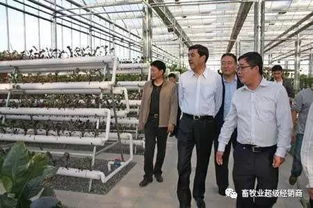 畜牧業超級經銷商商學院第三期招生開啟 賦能飼料銷售新未來