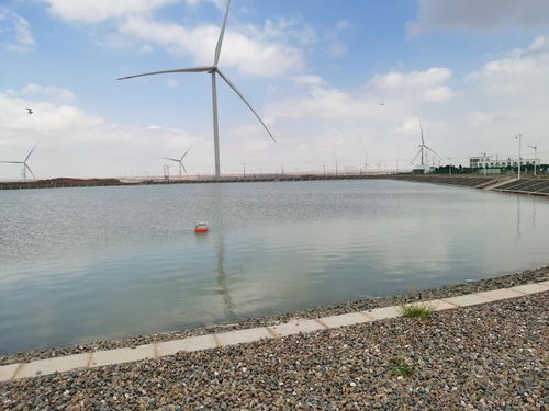 智慧漁業(yè) 水質監(jiān)測守護藍色生態(tài)，協(xié)同飼料銷售驅動產業(yè)升級